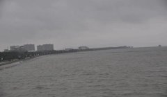 三角洲行动变现流程图片（能否找到三角洲行动变现流程图？）