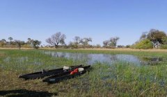 三角洲怎么申请领物资（给我一个三角洲物资申请的模板）