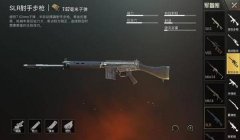 三角洲哪里显示射手步枪（三角洲行动里射手步枪在哪个界面？）