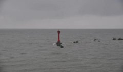 三角洲官网工具箱（给我三角洲官网工具箱的下载链接）